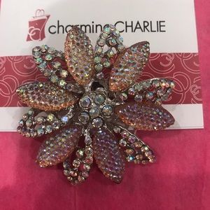 Charming Charlie brooch
